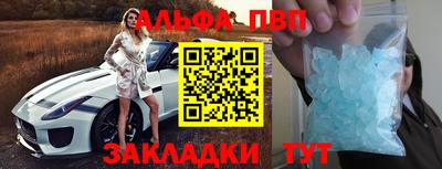СК Кингисепп