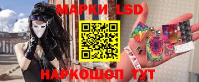СК Кингисепп