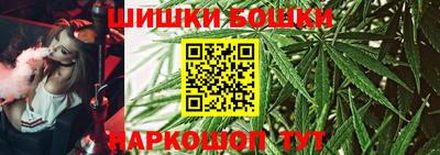 СК Кингисепп
