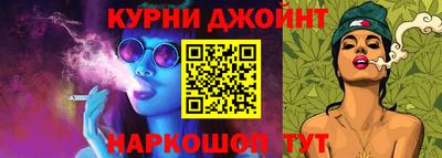 СК Кингисепп