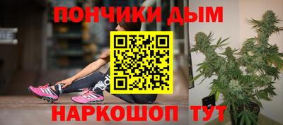 СК Кингисепп