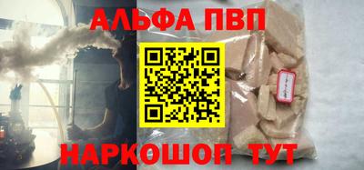 СК Кингисепп