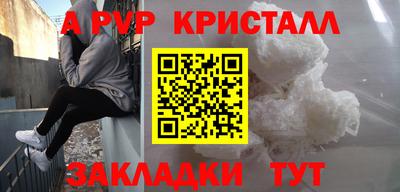 СК Кингисепп