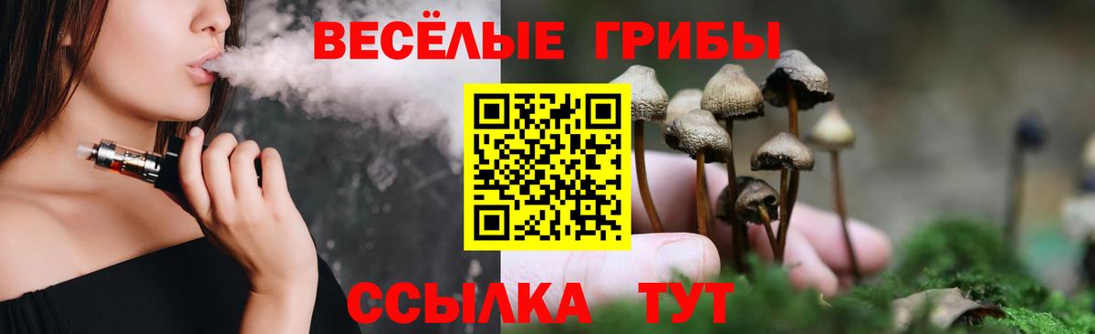 Галлюциногенные грибы Cubensis Тольятти